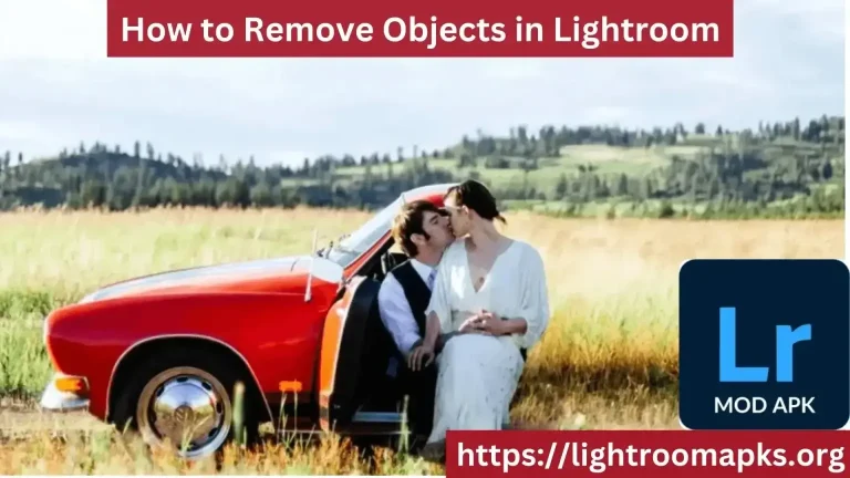 How to Remove Objects in Lightroom